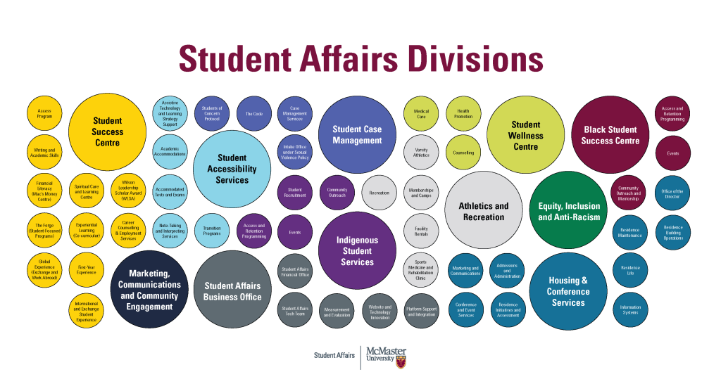Student Affairs divisions. Descriptive text provided in body text.